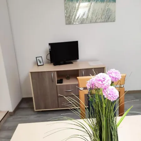 Apartment Ivana